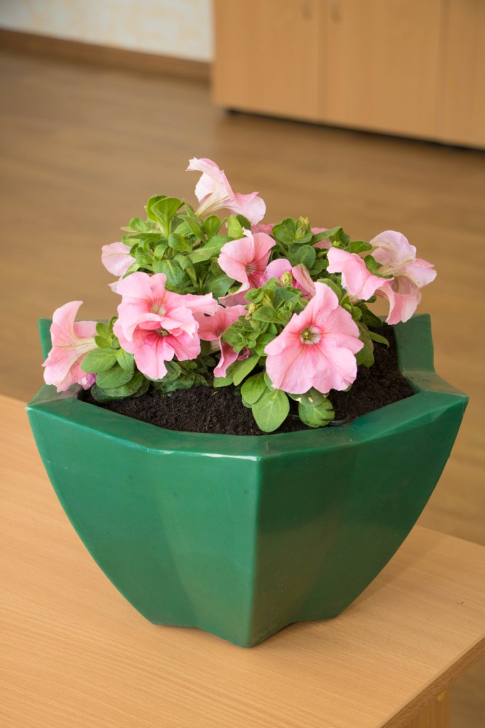 Вазон пластиковый. Собственное производство. Чистоград. Кашпо цветочное Лотос 350/450. Модель 2019