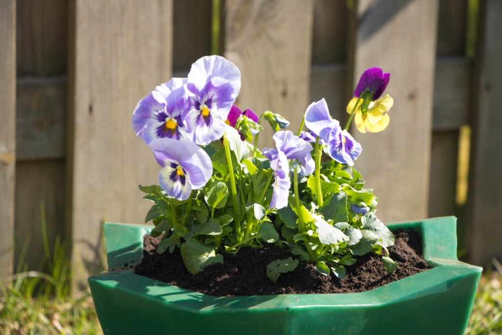 Вазон пластиковый. Собственное производство. Чистоград. Кашпо цветочное Лотос 350/450. Модель 2019
