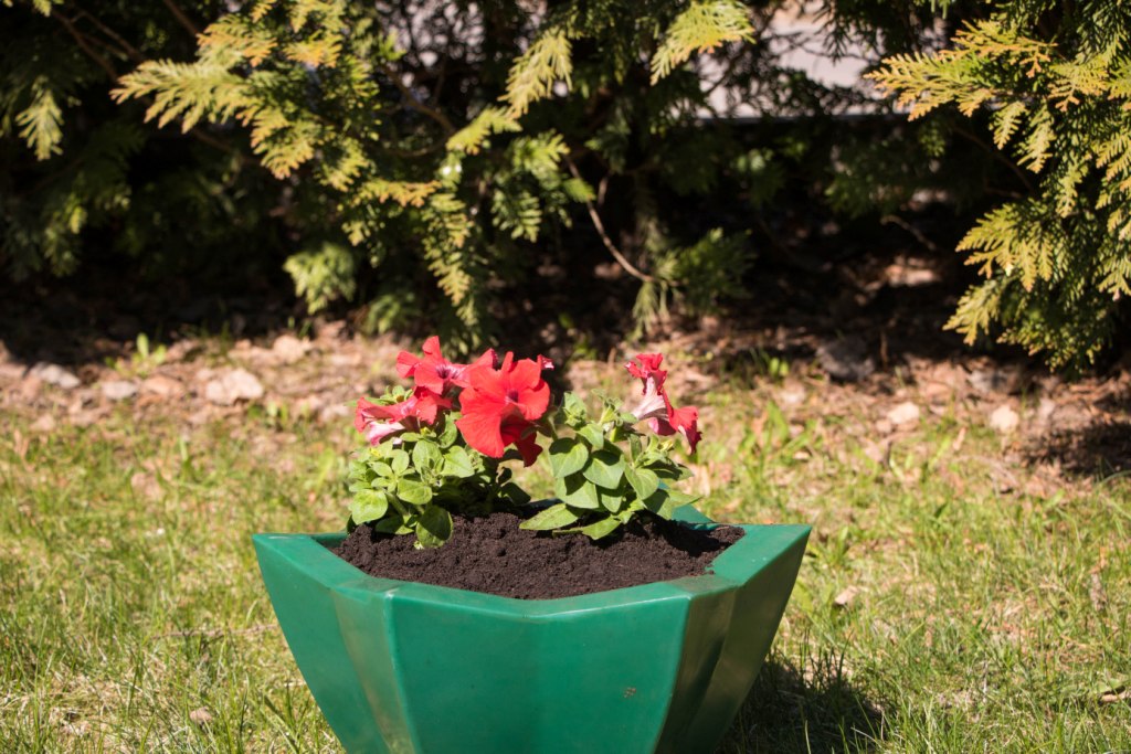 Вазон пластиковый. Собственное производство. Чистоград. Кашпо цветочное Лотос 350/450. Модель 2019